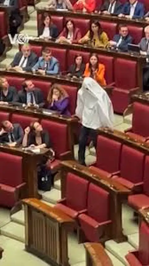 بالفيديو..."شبح" يقتحم البرلمان الإيطالي أثناء انعقاده والحرس يتدخل